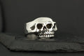 Silver ring designed as a double-layered skull.