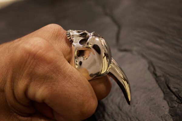 Close-up of a hand wearing a detailed silver bird-shaped ring.