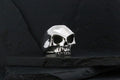 A shiny silver skull ring on a dark surface.