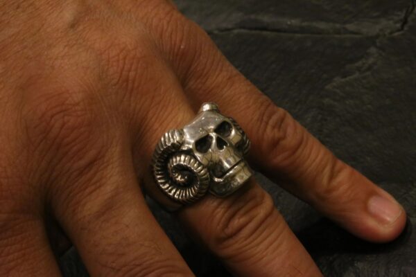 A hand wearing a silver skull ring with ram horns.