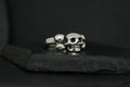 Two silver skull rings on a dark surface.