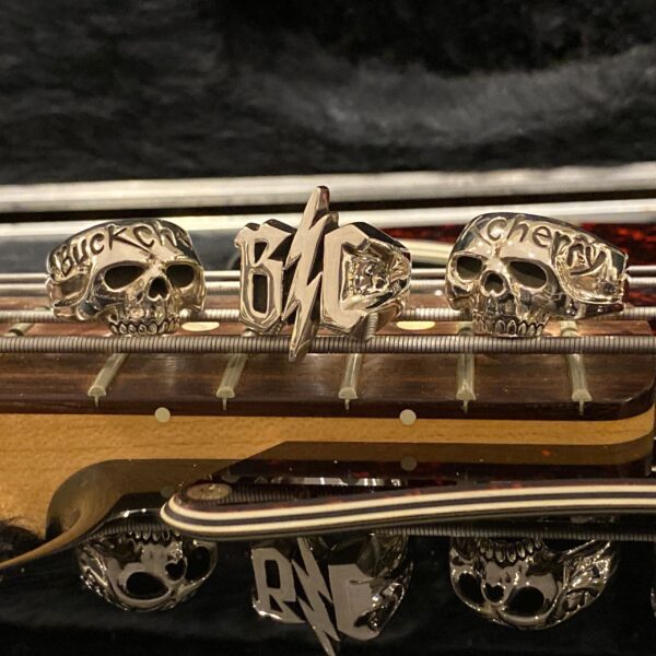 Close-up of guitar bridge with skull-shaped string retainers and engraved text.