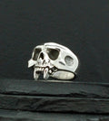 Silver skull ring with detailed teeth and hollow eyes.