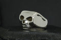 A metallic skull-shaped ring with dark eye sockets on a dark surface.
