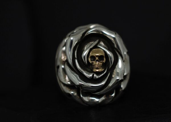 A metallic skull wrapped in a twisted silver design against a black background.