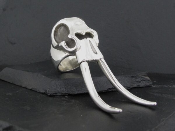 Silver skull-shaped ring with long tusks on a dark surface.
