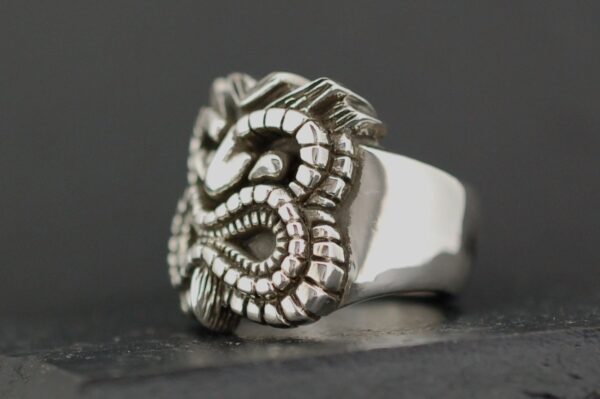 Close-up of a silver ring with a detailed, artistic snake design.