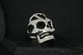 A metallic skull sculpture with hollow eyes and detailed teeth.