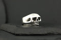 A silver skull-shaped ring on a dark surface.