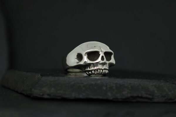 A silver ring shaped like a skull on a dark surface.
