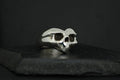 Two silver skull-shaped rings on a dark surface.