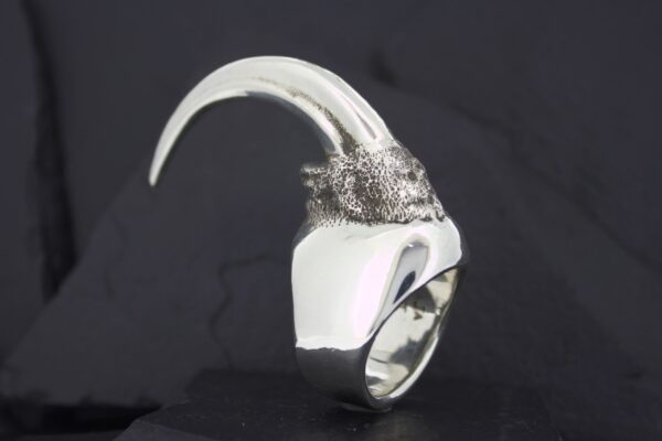 Silver ring with a unique design featuring two curved horns.