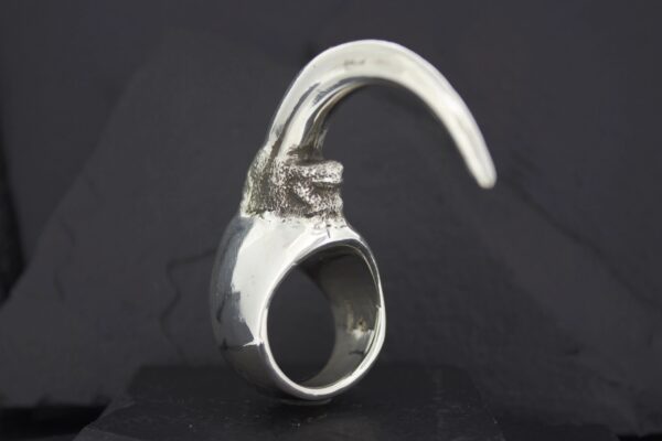 A silver ring shaped like a bird's claw with detailed textures.