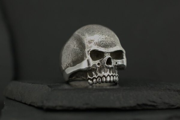 A detailed skull model on a dark surface.