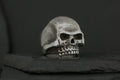 A detailed skull model on a dark surface.